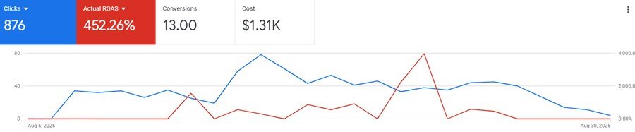 452% return on ad spend from a single Performance Max campaign.